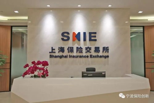 上海保交所科技公司正式落戶寧波，開啟科技中介服務(wù)新篇章